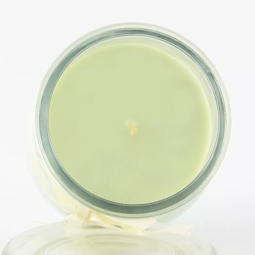 Fragrant Delights Honeydew Melon Candle and Potpourri Set