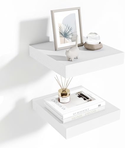Fun Memories 10 Inch Deep Floating Shelves Set of 2