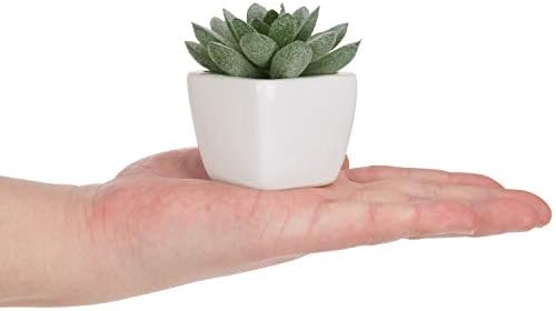 MyGift Set of 4 Mini Assorted Artificial Succulent Plants in White Ceramic Pots