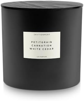 Stone Candles Environment Inspired by LHomme Candle 55oz Luxury Coconut Apricot