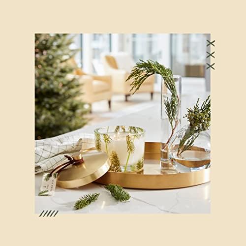 Thymes Heritage Pine Needle 3 Wick Candle - 115 Oz