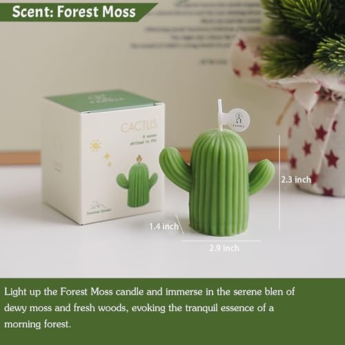 Cactus Shaped Candles with 4 Scents and Colors