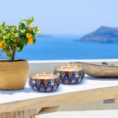 HOSVOT Citronella Candles 4 Pack 56oz Total