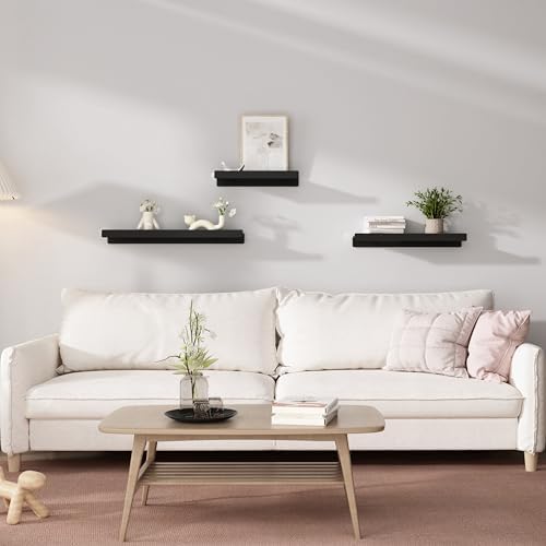 Dancrul Floating Shelves Wall Mount 2 Pack Black 12 Inch