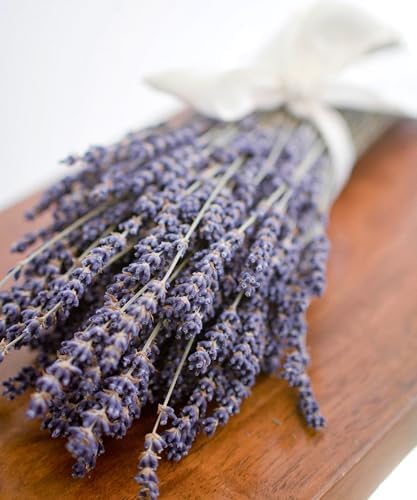 3 oz Bunch of Dried English Lavender for Home Dcor and Crafting