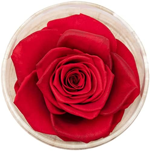 MODCON Real Fragrance Roses Last 4 Months Gift for Valentines Day