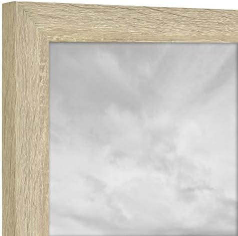 MCS 8x10 Picture Frame Woodgrain 4-Pack Wall Tabletop Display