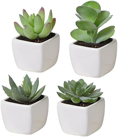 MyGift Set of 4 Mini Assorted Artificial Succulent Plants in White Ceramic Pots
