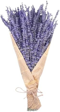 Uieke Dried Lavender Bundles 150 Stems 15-17 Inch