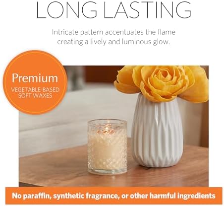 AGRARIA Scented Candles 7 Oz Luxury Jar Candles