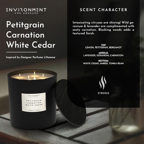 Stone Candles Environment Inspired by LHomme Candle 55oz Luxury Coconut Apricot