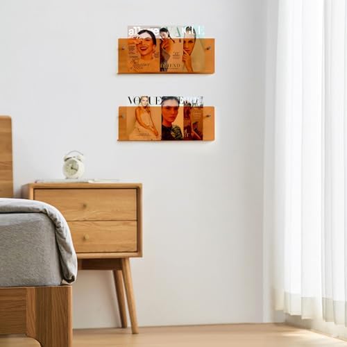 2 Pack Acrylic Magazine Holder with Angled Base