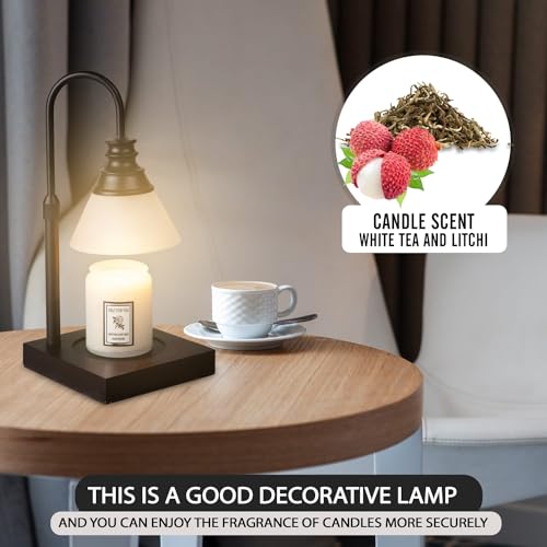 VISUAL DIGESTION Candle Warmer Lamp for Large Jar Candles - Electric with Timer and Dimmable 3000K