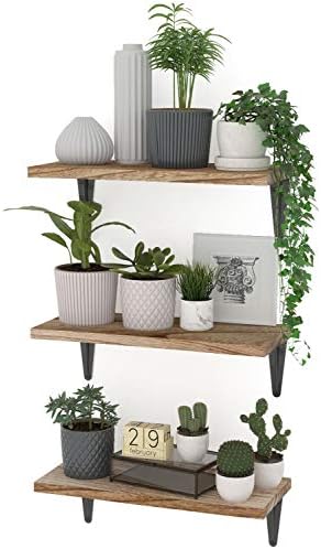 Wallniture Arras Rustic Floating Shelves Set of 3