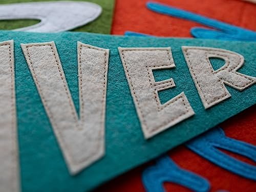 Personalized Name Pennant for Nursery Decor