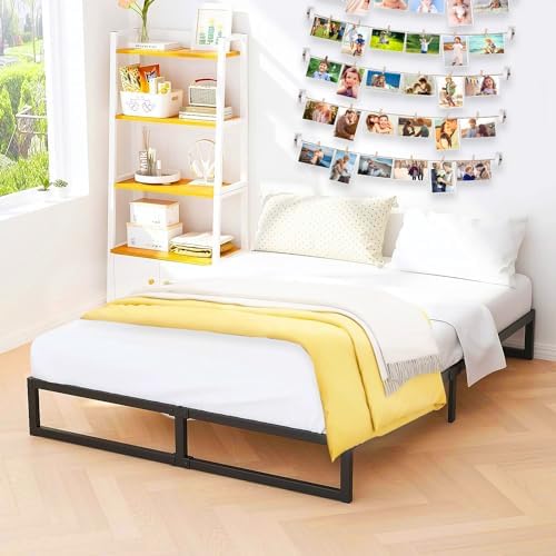 Wooden Photo Wall Display with 5 Strings and 30 Clips