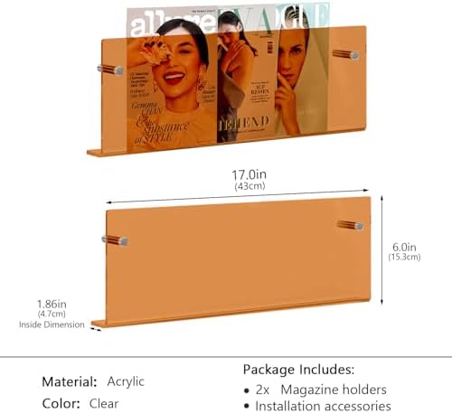 2 Pack Acrylic Magazine Holder with Angled Base