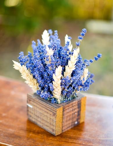 3 oz Bunch of Dried English Lavender for Home Dcor and Crafting