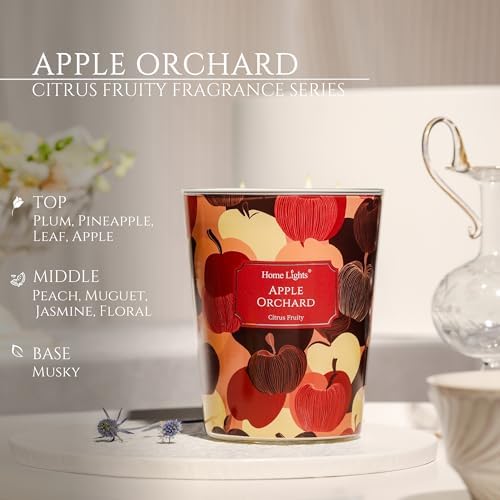 HomeLights Large Jar Candle 3 Wick Long Lasting Scented Candles