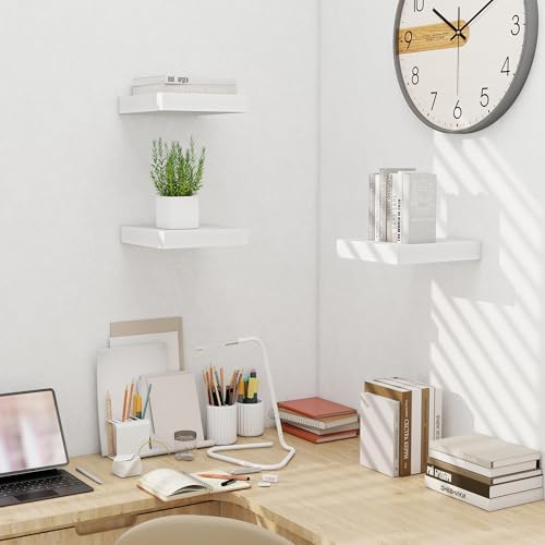 Fun Memories 10 Inch Deep Floating Shelves Set of 2