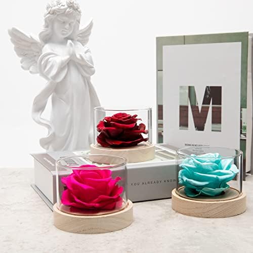 MODCON Real Fragrance Roses Last 4 Months Gift for Valentines Day