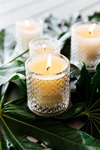 AGRARIA Scented Candles 7 Oz Luxury Jar Candles