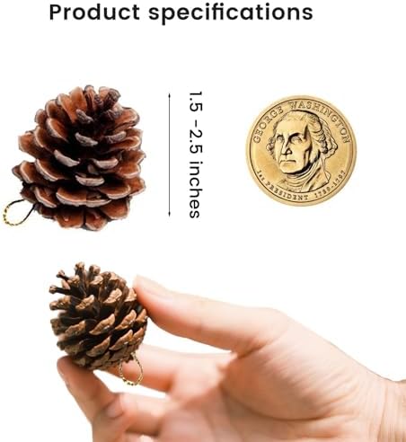 JOHOUSE 18 PCS Hanging Natural Pine Cones Garland Decor