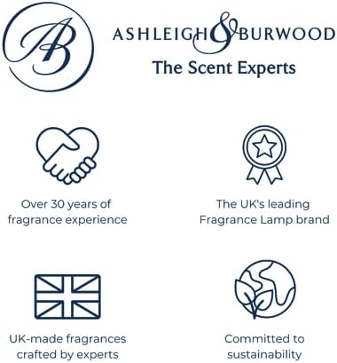 Ashleigh Burwood Twinkle Star Fragrance Oil Lamp