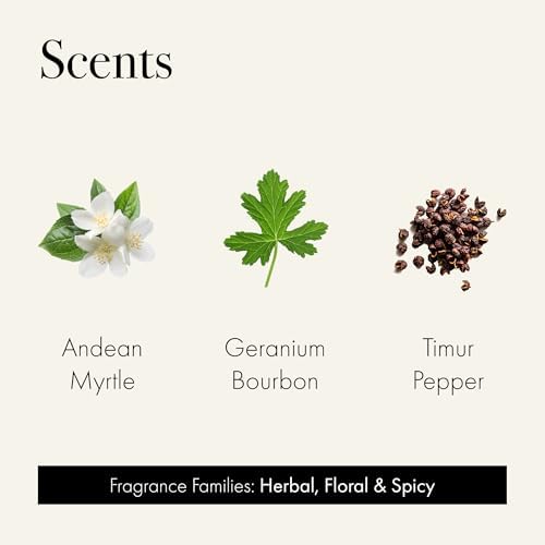 Discovery Trio Candle Samples - 3 Fragrance Scents 4-Hour Burn Time
