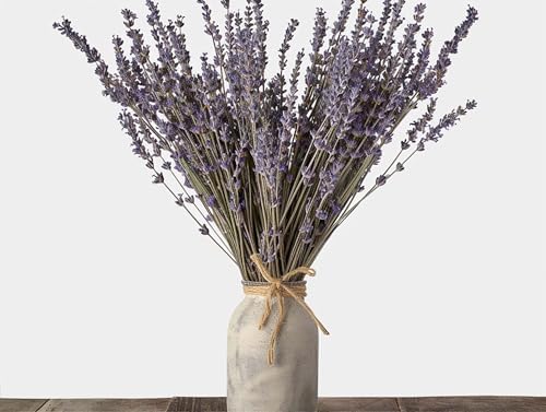 Dried Lavender Bouquet 4 Bunches 15-17 Inch Aromatherapy Decor