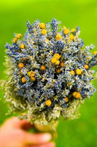 3 oz Bunch of Dried English Lavender for Home Dcor and Crafting