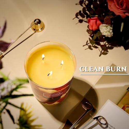 HomeLights Large Jar Candle 3 Wick Long Lasting Scented Candles
