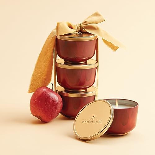Thymes Simmered Cider Candle Tin with Lid 65 oz