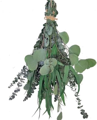 22 PCS Preserved Eucalyptus Shower Plants Bundle