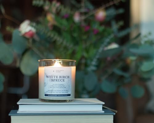 PERIPETI Home White Birch Spruce Scented Candle