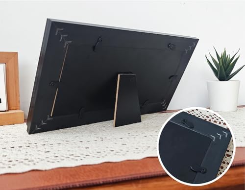 Dollar Bill Frame with Black Mat or Display 4x9 Picture Without Mat