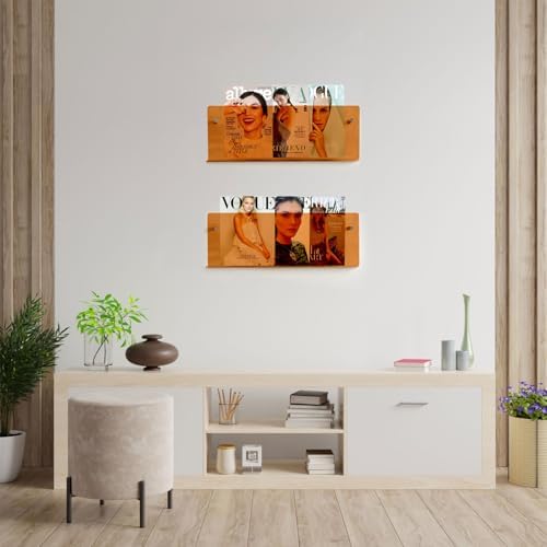 2 Pack Acrylic Magazine Holder with Angled Base