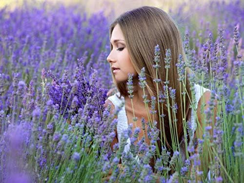 TooGet Premium Dried Lavender Buds 4 Oz