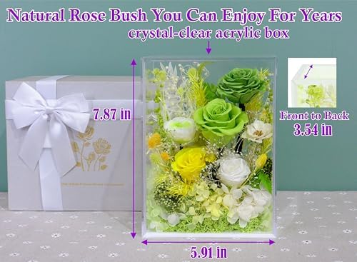 Valley of Rain Forest Preserved Rose Bush for Lasting Beauty
