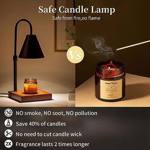Romadedi Candle Warmer Lamp with Timer and Dimmable Light
