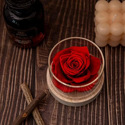 MODCON Real Fragrance Roses Last 4 Months Gift for Valentines Day