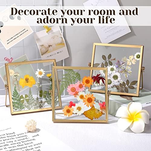 Hoteam 12 Pack 4x4 Inch Floating Frame Photo Collection