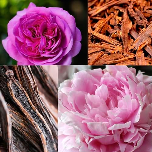 Edward George Rose Oud Candle Set 80g Luxury Home Decor