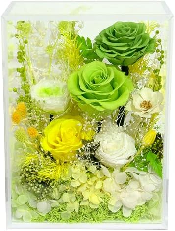 Valley of Rain Forest Preserved Rose Bush for Lasting Beauty