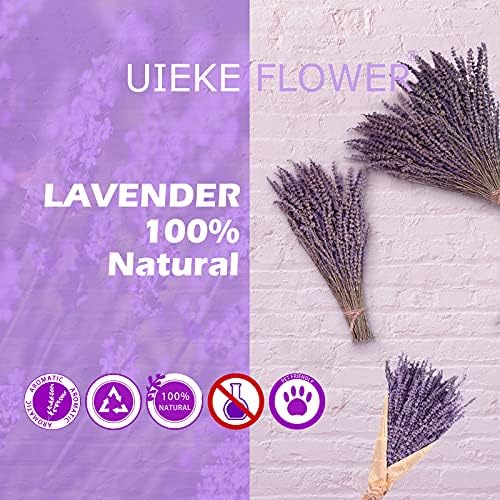 Uieke Dried Lavender Bundles 150 Stems 15-17 Inch