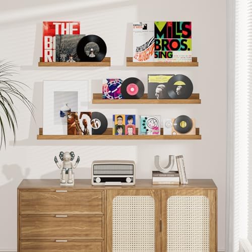 24 Inch Floating Shelf Set of 8 for Wall Decor