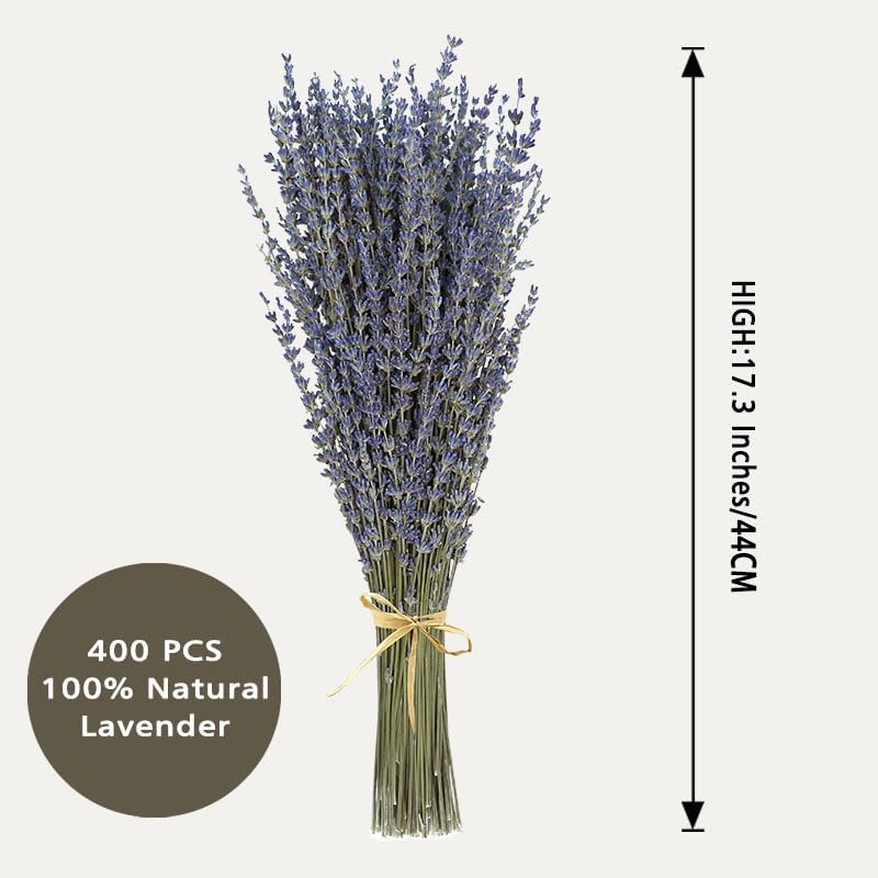 Dried Lavender Bouquet 4 Bunches 15-17 Inch Aromatherapy Decor