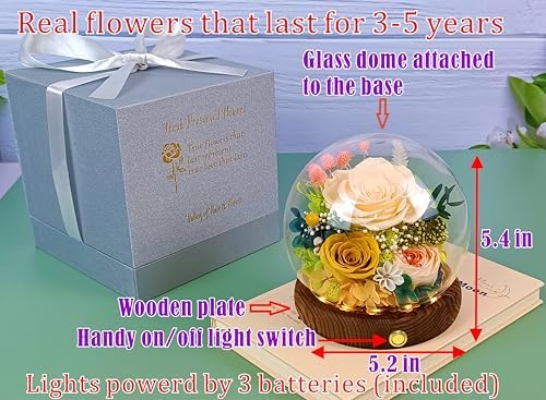 Valley of Rain Forest Preserved Flowers Arrangement