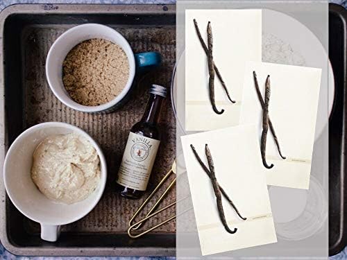 Vanilla Scented Sachets Pack of 3 - Made in USA