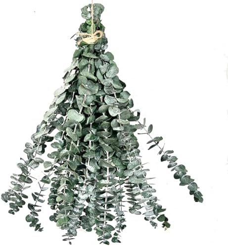 20 PCS Dried Eucalyptus Shower Bundle